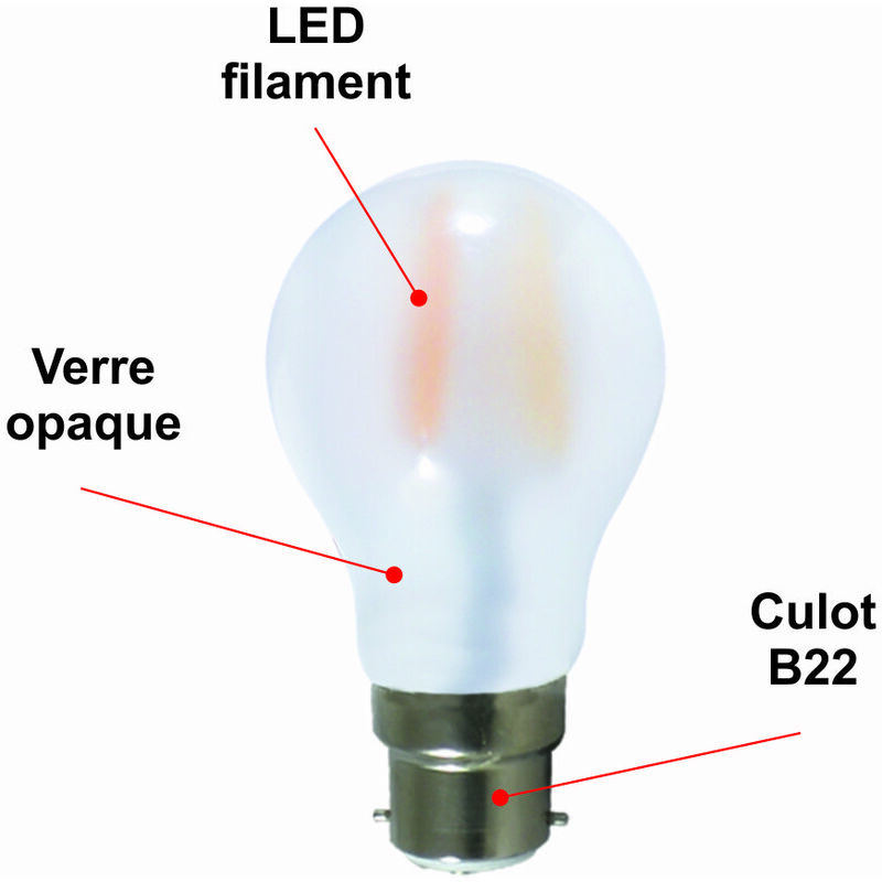 Ampoule LED sphérique G45 culot B22 éclairage violet 230 vol