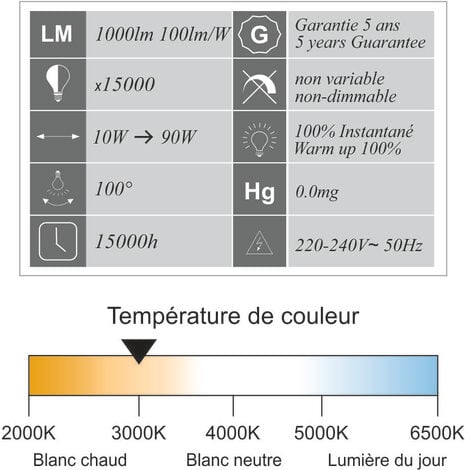Lot de 5 projecteurs LED 10W 1000 LM 3000K IP65 connexion en direct - garantie 5 ans