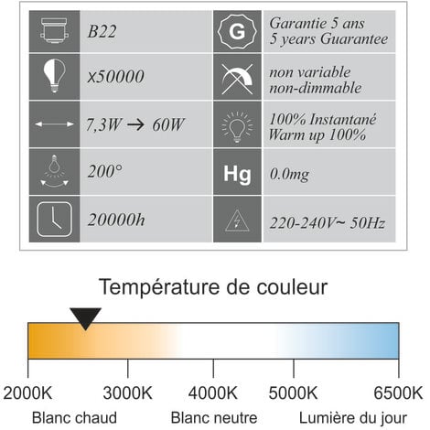 Lot de 10 ampoules LED B22 7,3W 806Lm 3000K - garantie 5 ans