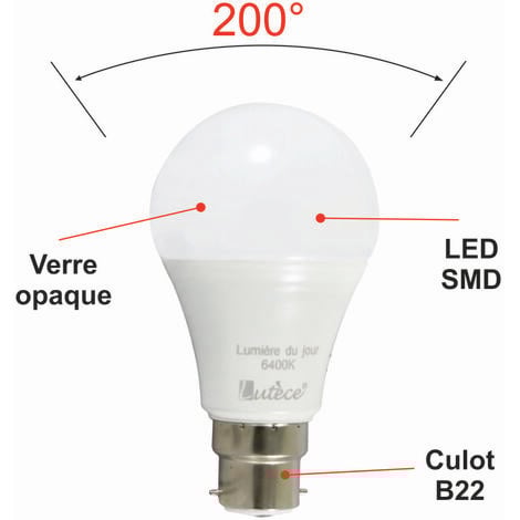 Lot 10 ampoules LED B22 11,1W 1055Lm 6400K - garantie 5 ans