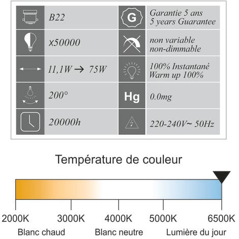 Lot 10 ampoules LED B22 11,1W 1055Lm 6400K - garantie 5 ans