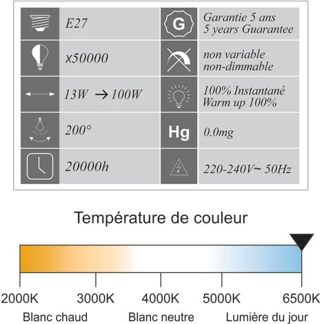 [JAMAIS UTILISÉ] Lot de 10 ampoules LED E27 13W (équiv. 100W) 1521Lm 6500K - garantie 5 ans