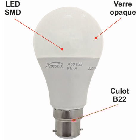 [JAMAIS UTILISÉ] Lot de 10 ampoules LED B22 standard 11,1W 1055Lm 3000K - garantie 2 ans