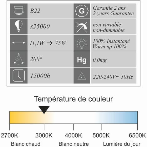 [JAMAIS UTILISÉ] Lot de 10 ampoules LED B22 standard 11,1W 1055Lm 3000K - garantie 2 ans