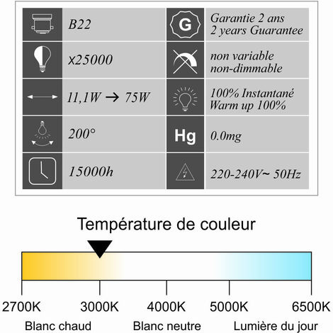 [JAMAIS UTILISÉ] Ampoule LED B22 standard 11,1W 1055Lm 3000K - garantie 2 ans