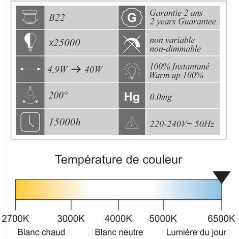 [JAMAIS UTILISÉ] Lot de 10 ampoules LED B22 sphérique 4,9W 470Lm 6400K - garantie 2 ans