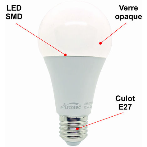 Lot de 10 ampoules LED E27 standard 15,3W 1521Lm 6400K - garantie 2 ans