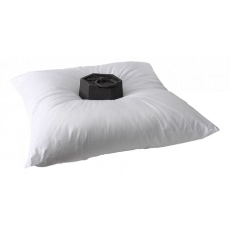Lot de 2 Oreillers 60 x 60 cm Super Gonflant Isolane Univers Décor