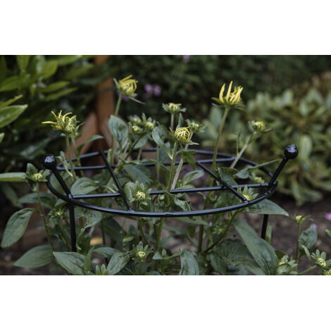 Pack of 2 Tom Chambers Cottage Heavy Duty Black Metal Steel Herbaceous Garden Plant Support Grow Through Large 80cm x 45cm (1/5)