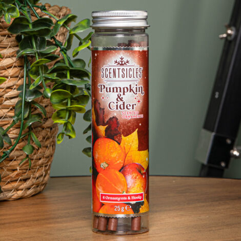 25g Pumpkin and Cider Scented Christmas Scentsicles with 6 Hanging Hooks (1/5)