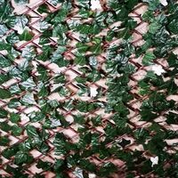 2m x 1m Expanding Outdoor Garden Leaf Trellis with Flowers