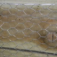 5m Galvanised Metal Chicken Garden Wire Netting / Fencing