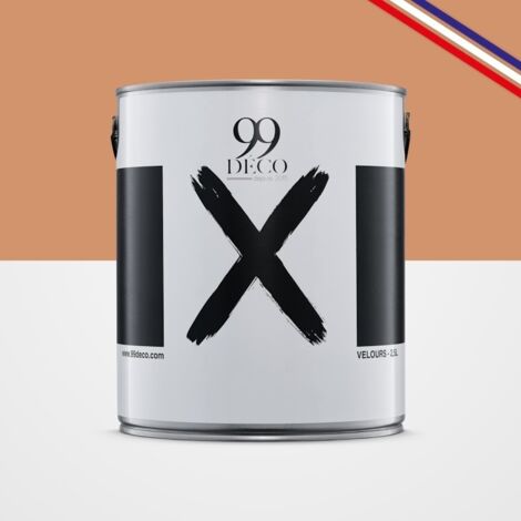 Peinture Mur Velours - Rouge Ocre - Interieur - 2,5l (1/5)
