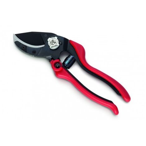Forbice Pota Professionale Taglio Battente Evo 6 - cm.20 - 31086 (1/2)