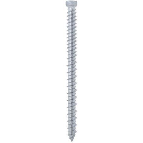 100PZ VITI PER CALCESTRUZZO TESTA CILINDRICA 5X62 MM