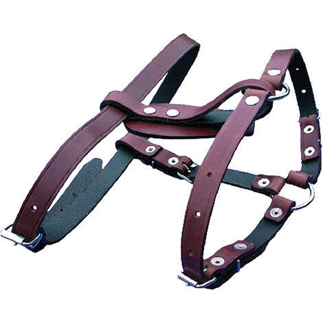 Frontalini Per Briglie Scontati | Collezione Di Frontalini Eleganti Per