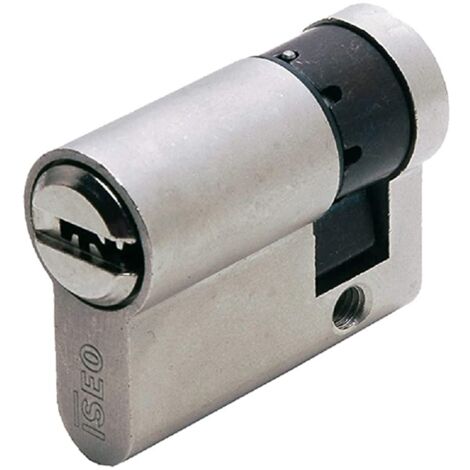 Cilindro Infilare R6Plus 40-30-10 82R6030109C Iseo