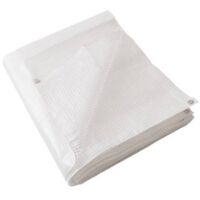 C TELO OCCHIELLATO PE BIANCO RETINATO 4X 4M 160GR