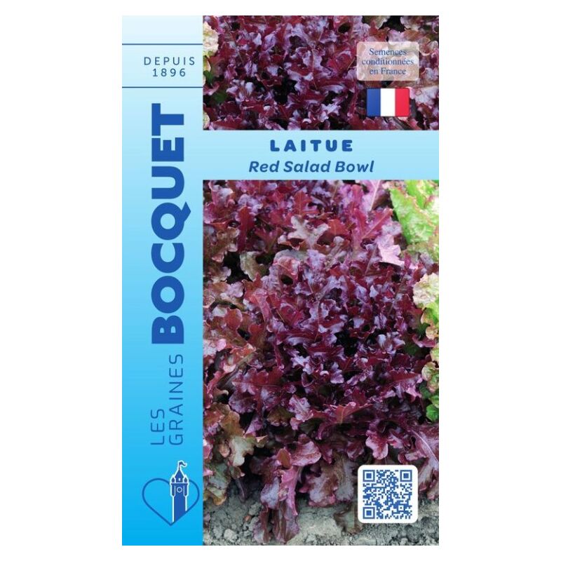 Laitue à couper Red Salad bowl rouge - 4g