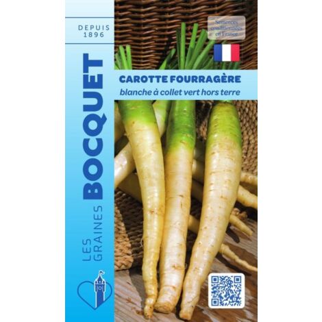 Carotte fourragère blanche à collet vert hors Terre - 7g