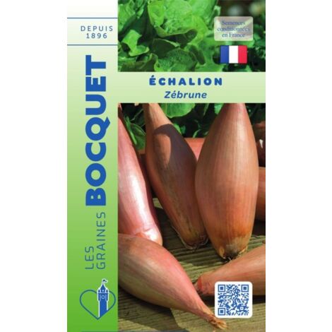 Echalion Zébrune - type cuisse de poulet - 1g (1/2)