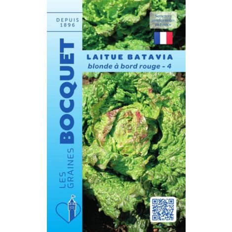 Laitue batavia blonde à bords rouge-4 - 4g