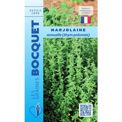 Marjolaine annuelle - 0,7g