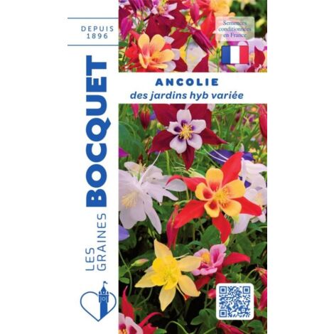 Ancolie des jardins variée - 0,4g