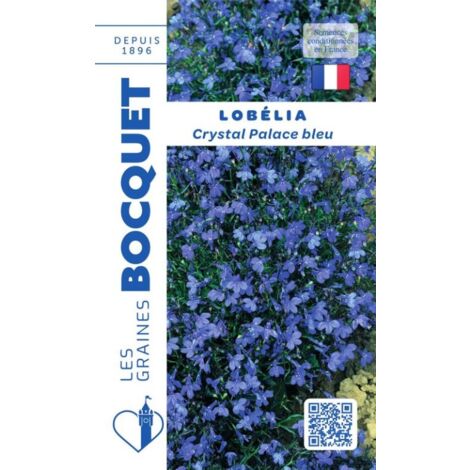 Lobélia Crystal Palace bleu - 0,3g