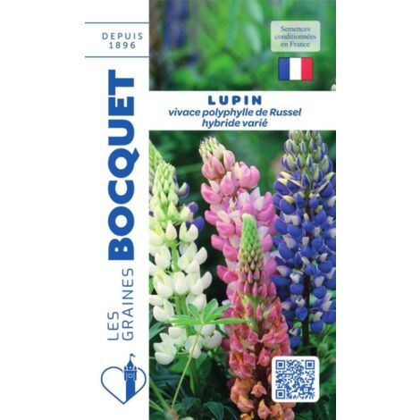 Lupin vivace polyphylle de Russel hybride varié - 2g