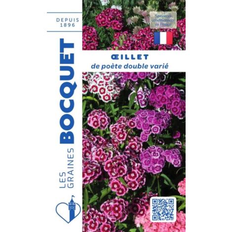 Oeillet de poète double varié - 1,5g