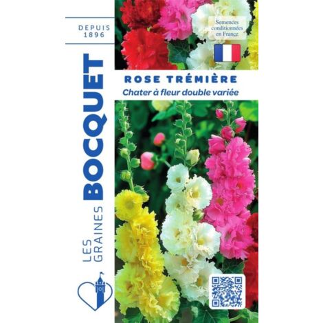Rose Trémière Chater double variée - 1,5g