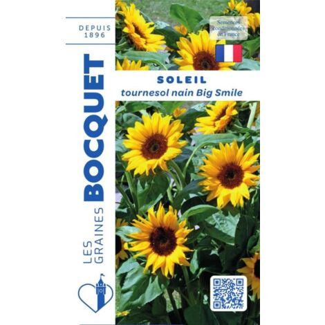 Soleil tournesol nain jaune Big Smile - 3g (1/2)