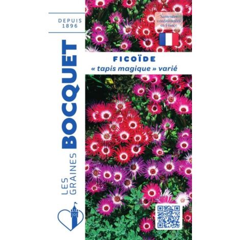 Ficoïde Tapis magique en mélange - 1g