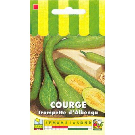 Courge Tromba d'Albenga – Semis dès mars-avril – Graines non hybrides – Fruits cylindriques jusqu'à 1,50 m de long – Graines Bocquet
