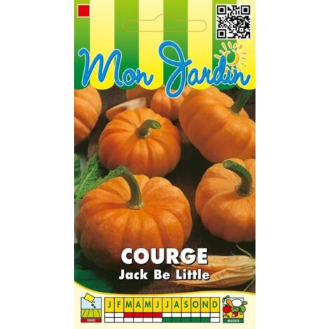 Courge Jack Be Little - 3g (1/2)