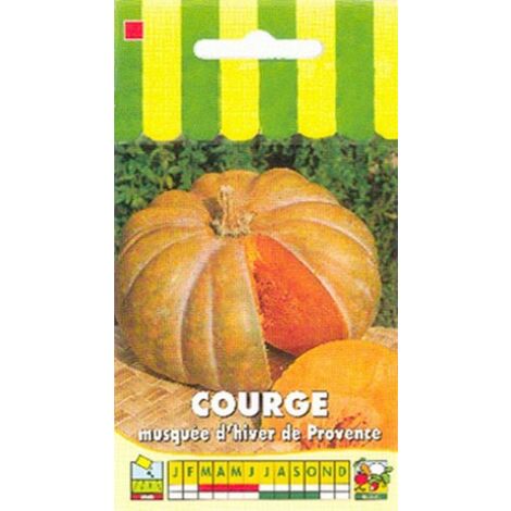 Courge musquée de Provence – Graines non hybrides – Exposition plein soleil – Semis mars-avril – Récolte à maturité – Graines Bocquet