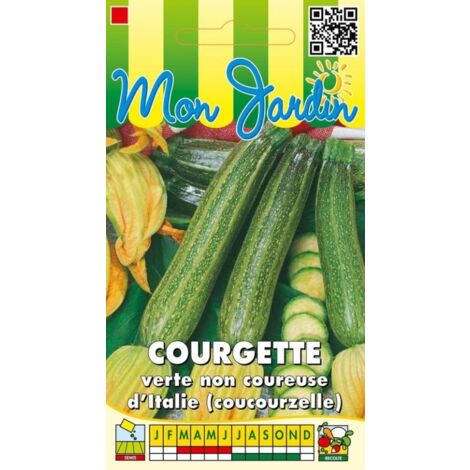 Courgette verte non coureuse d'Italie - 5g
