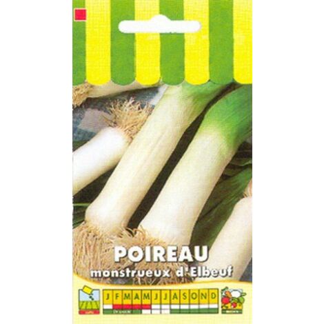 Poireau monstrueux d'Elbeuf – Semis fin d'hiver – Variété précoce résistante au froid – Environ 1600 graines – Poids net 4g – Graines Bocquet