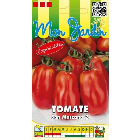 Tomate San Marzano 0,5g – Semis en février-mars – Fruits allongés 9-10 cm – Résistance à l’éclatement et aux maladies – Graines Bocquet (1/2)