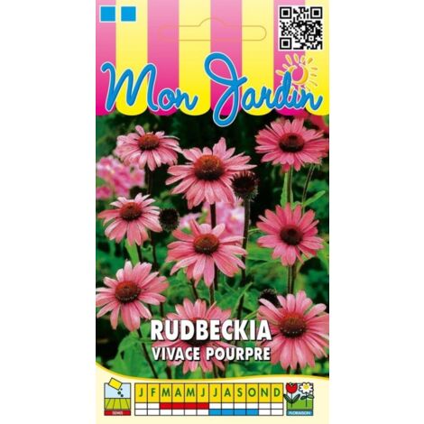 Rudbeckia vivace pourpre – Graines de fleurs – Floraison de juillet à octobre – Exposition soleil – Semis de mars à juin – Graines Bocquet