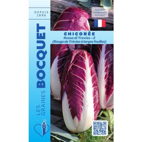 Chicorée à large feuille Rosa di Treviso 2 ( rouge de Trèvise ) - 4g