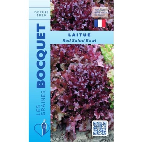 Laitue à couper Red Salad bowl rouge - 4g