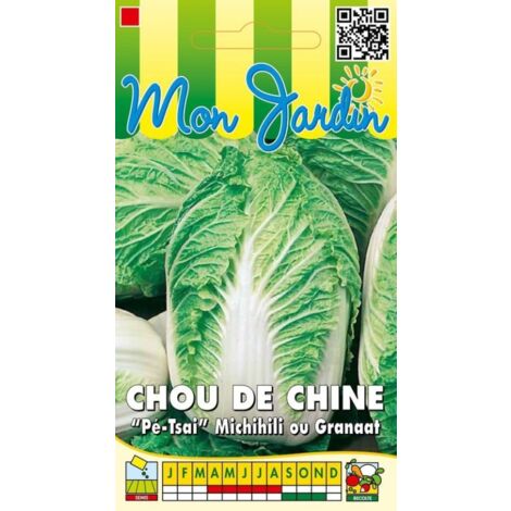 Chou de Chine Michihili ou Granaat - 3g