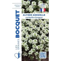 Alysse annuelle corbeille d'argent - 1g