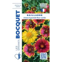 Gaillarde vivace à grande fleur variée - 1,5g