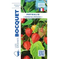 Physalis lanterne chinoise 0,5g – Semis de mars à mai – Fruits en cerise orangée – Supporte climat maritime et terrains secs – Graines Bocquet