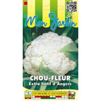 Chou fleur extra hâtif d'Angers - 1g