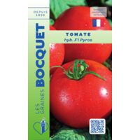 Tomate Pyros Hyb F1 - 0,1g