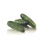 Cornichon HYB F1 Regal - 0,2g